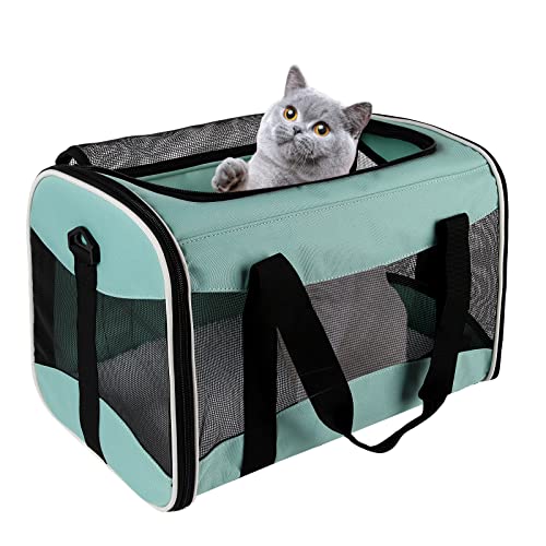 Cat Dog Carriers Soft (green / 17.0"L x 11.0"W x 11.0"H)