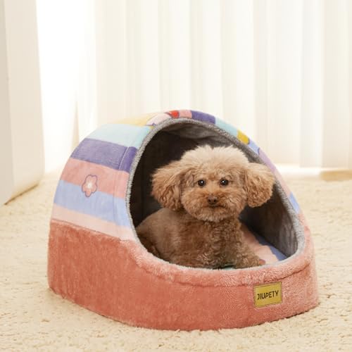 Cute Cat Beds for Indoor Cats (Large / Rainbow)