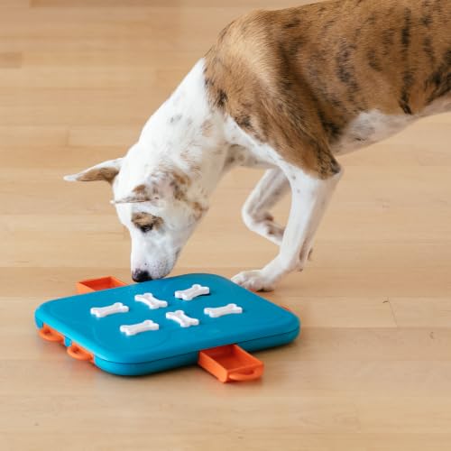 Nina Ottosson Dog Casino Dog Toy Treat Puzzle (Dog Casino (Blue, Orange) / 1 Count (Pack of 1))
