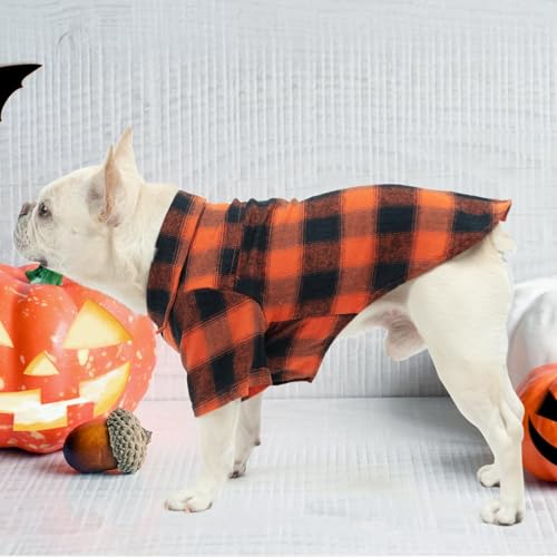 Fall Dog Shirt (Medium / Orange)