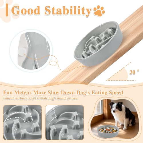 Ceramic Slow Feeder Dog Bowls (Grey-L)