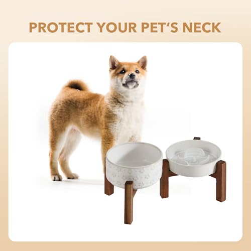 Raised Slow Feeder Dog Bowls (2 x White + Stand - A / S- 6.1inch / 0.9 Cups)