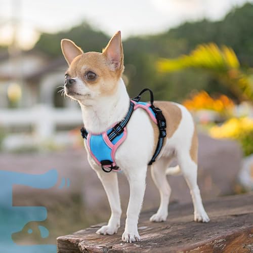 Dog Harness for Small Dogs (X-Small / Pink & Blue)