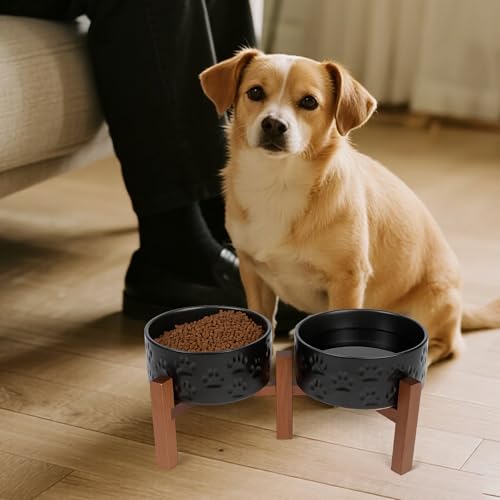 Ceramic Elevated Dog Bowl Set with Acacia Wood Stand for Food and Water for Small Medium Sized Dogs (28.74 Oz / Black with Dog Paw Pattern)