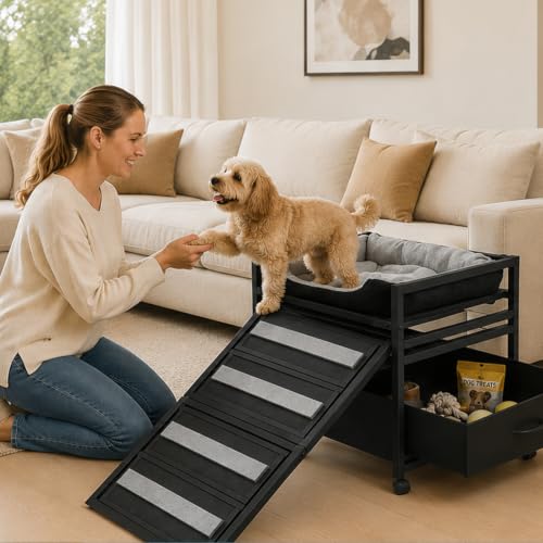 Pet Steps 2 in