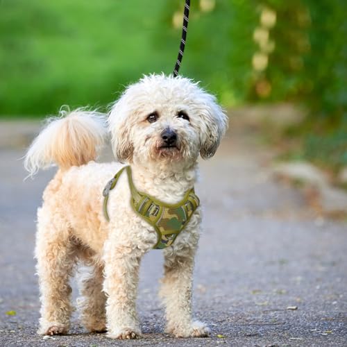 Dog Harness for Small Sized Dog No Pull Dog Vest ID Tag Pocket (Camo / X-Small)