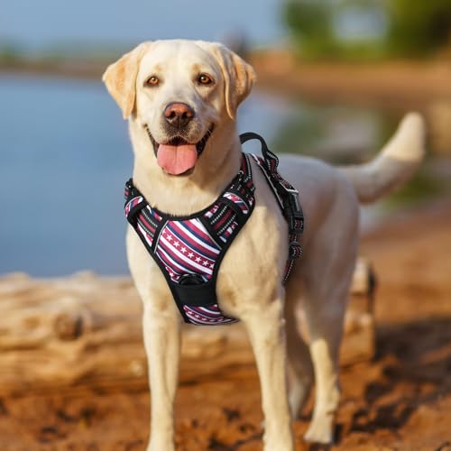 Dog Harness No Pull for Large Dogs with 2 Leash Clips (Large / Red Stripe)