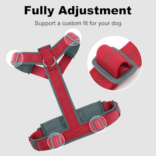 No Pull Dog Harness (S / Red)
