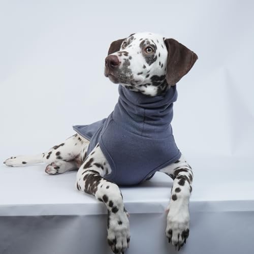 Calming Hoodie for Dogs (M / Blue)