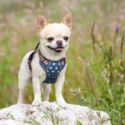 Dog Harness No Pull for Small Dogs with 2 Leash Clips (X-Small / Blue Star)