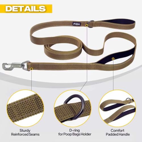 10 FT Heavy Duty Dog Leash (10 Feet (Pack of 1) / Brown)