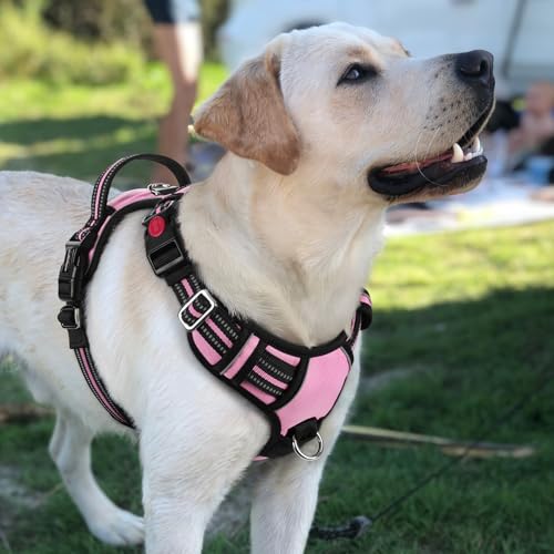 Dog Harness for Large (Light Pink / Large)