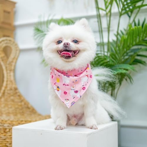 Dog Harness Collar and Leash Set No Pull for Small Medium Sized (Light Pink(Alpaca) / XS (CHEST 13"-14.5"))