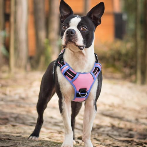 Dog Harness Small Sized (Light Pink & Blue / Small)