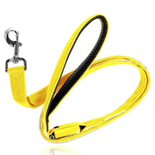 LED Light Up Dog Leash (4 Feet / Sunburst Yellow)