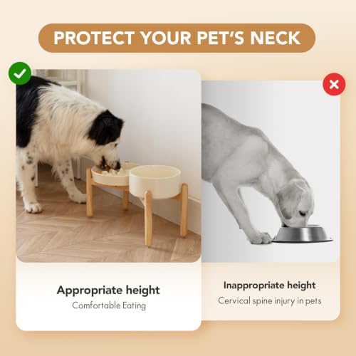 Elevated Slow Feeder Dog Bowls (Light Yellow)