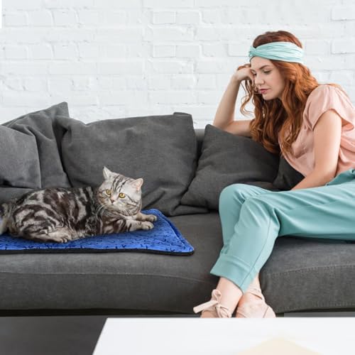 Self Warming Cat Bed (27 x 22 Inch / Blue)