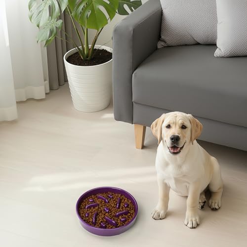 Ceramic Slow Feeder Dog Bowl (Maze - Deep purple / 2 Cups)