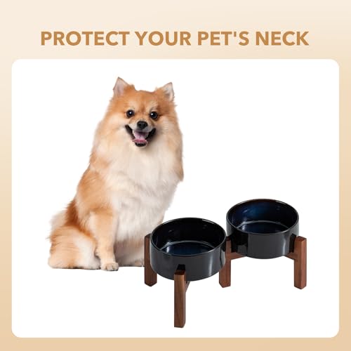 Elevated Dog Bowls (Double Bowls with Stand- Starry Sky / 3.4CUPS)