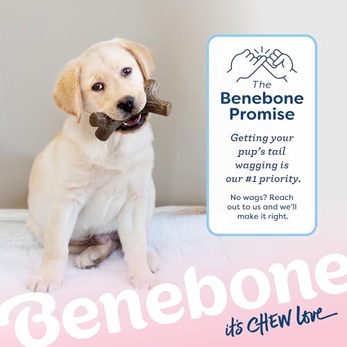 Puppy 4 Pack Dog Chew Toys for Gentle Chewers (Puppy (4-Pack))