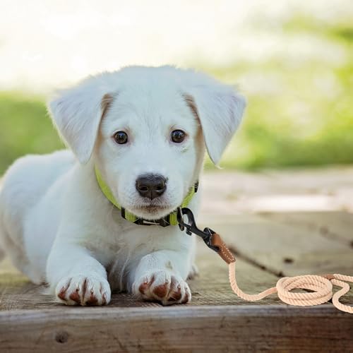 Dog Leash Braided Cotton Rope with Leather (Light Brown / 48 Inch-1/3")