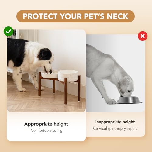 Raised Slow Feeder Dog Bowls (2 x White + Stand - C / L- 8.2inch / 1.6 Cups)