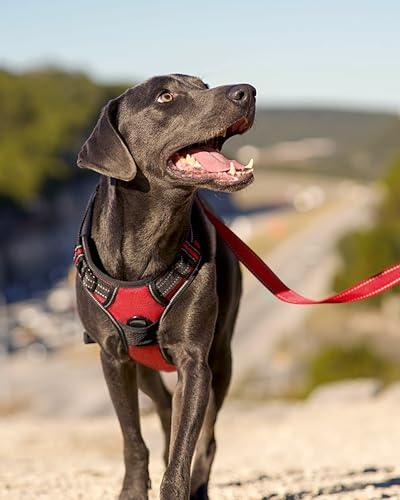 No Pull Dog Harness Medium Sized Dog (Medium / Red)