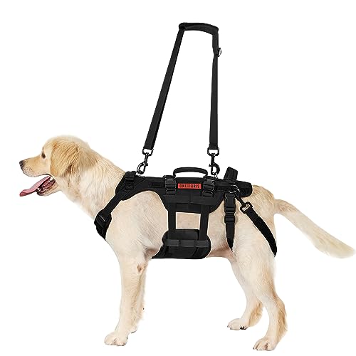 Dog Lift Harness for Large Dogs (Black / S)