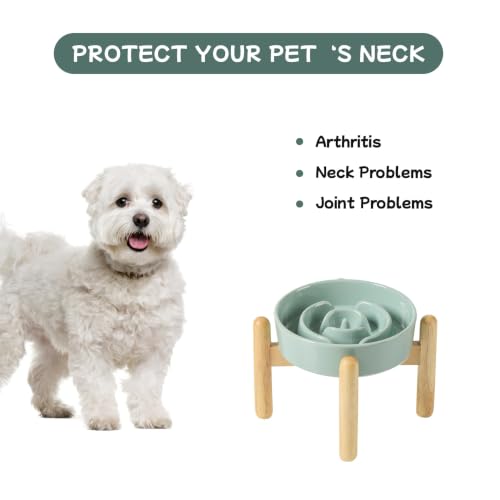 Elevated Slow Feeder Dog Bowls (Light Green)