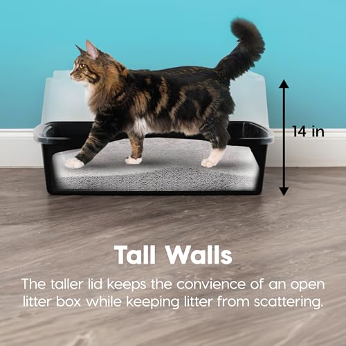 XX Large High Sided Cat Litter Box (XXL / Black)