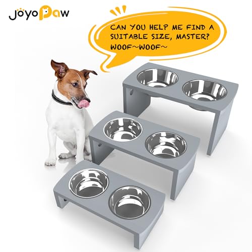 Elevated Dog Bowls (Grey / Medium: 7'' Tall-40oz Bowl)