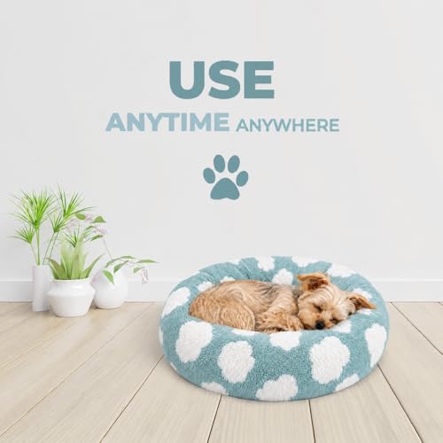 Cat Beds for Indoor Cats & Small Dog (Blue-White / 20.00" x 20.00" x 6.00")