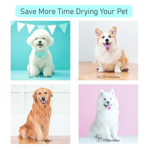 Dog Dryer for Pet Grooming (Pink)
