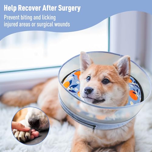 Inflatable Dog Cone (L / Orange)