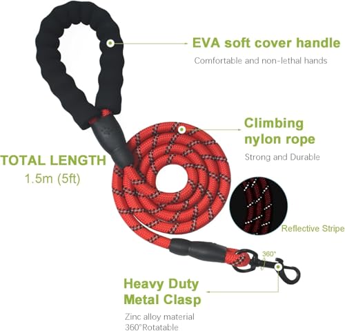 No Pull Dog Harness for Small Dog with Leash (Red / S)
