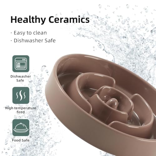 Elevated Slow Feeder Dog Bowls (Brown Coffee)