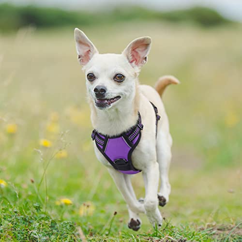 Dog Harness No Pull with 2 Leash Clips (X-Small / Purple)