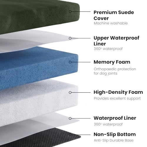 Orthopedic Memory Foam Extra Large Dog Bed with Pillow and Durable Water Proof Liner & Removable Washable Cover & Smart Design (Green / Green)