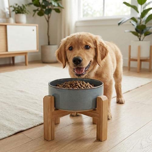 Elevated Ceramic Dog Bowl with Bamboo Stand (Gray Blue / 3.6Cup)
