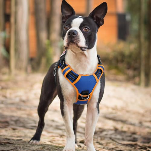 Dog Harness Small Sized (Royal Blue & Orange / Small)