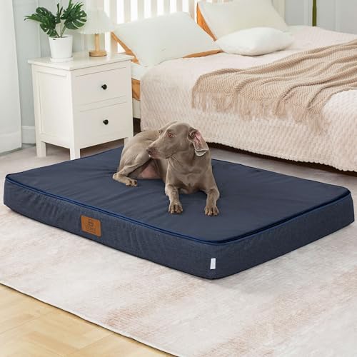 Orthopedic Memory Foam Giant Dog Bed (53.0"L x 36.0"W x 6.0"Th / Navy Blue)