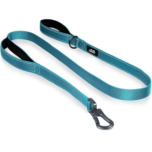 4FT 1IN Heavy Duty Dog Leash for Large Dogs with 2 Padded Handles (Blue / 1 in x 4 ft)