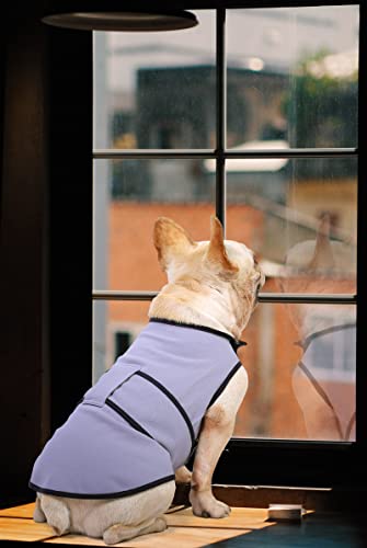 Dog Anxiety Dog Jacket (Sky Blue / Small)