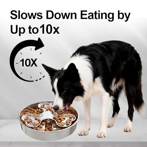 304 Stainless Steel Slow Feeder Dog Bowls (B: Silver)