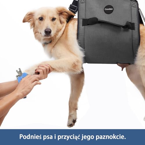 Dog Carry Sling (31.5"L x 13.8"W x 1.0"H / Black)
