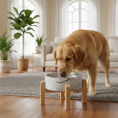 Elevated Raised Ceramic Dog Bowl with Bamboo Stand (Marble Gray / Large)