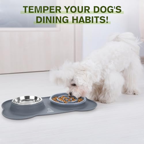 Slow Feeder Dog Bowls to Slow Down Eating (Large-2 Cup/17 oz each / Grey)