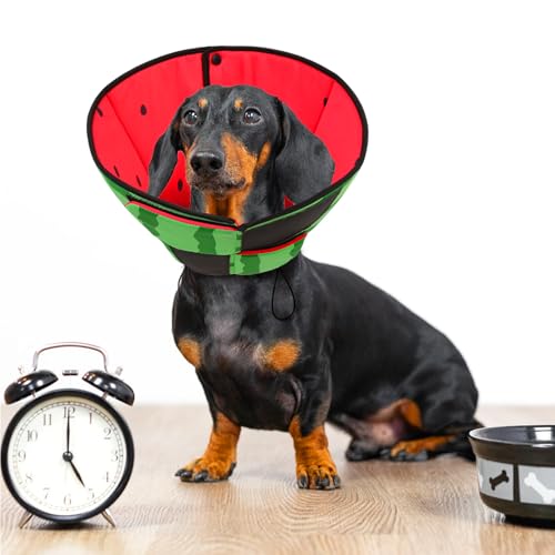 Soft Cone for Dogs (L / Watermelon)