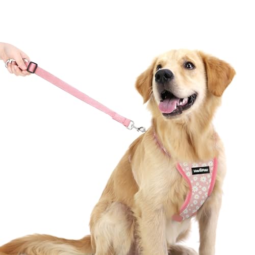 Dog Seat Belt (Pink Daisy / M (Chest: 19.7-26.4", Neck: 12.6-20.5"))