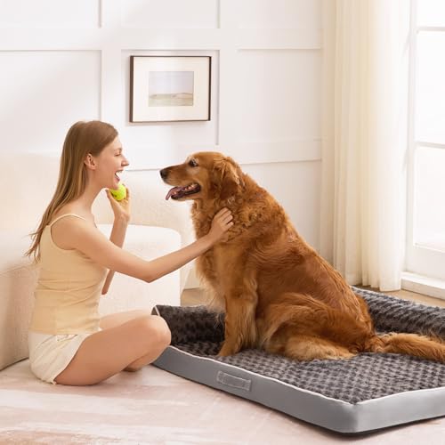 XXL Orthopedic Dog Bed (48.0"L x 35.0"W x 7.5"Th / Grey)